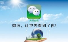 微信运营费用高吗？